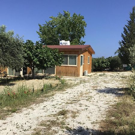 Goudhi Pervolaris Cottages 1 מראה חיצוני תמונה