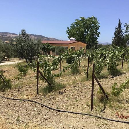 Goudhi Pervolaris Cottages 1 מראה חיצוני תמונה