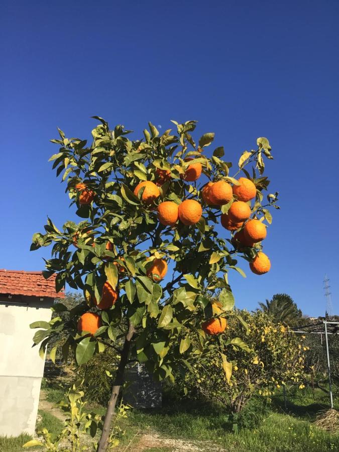 Goudhi Pervolaris Cottages 1 מראה חיצוני תמונה
