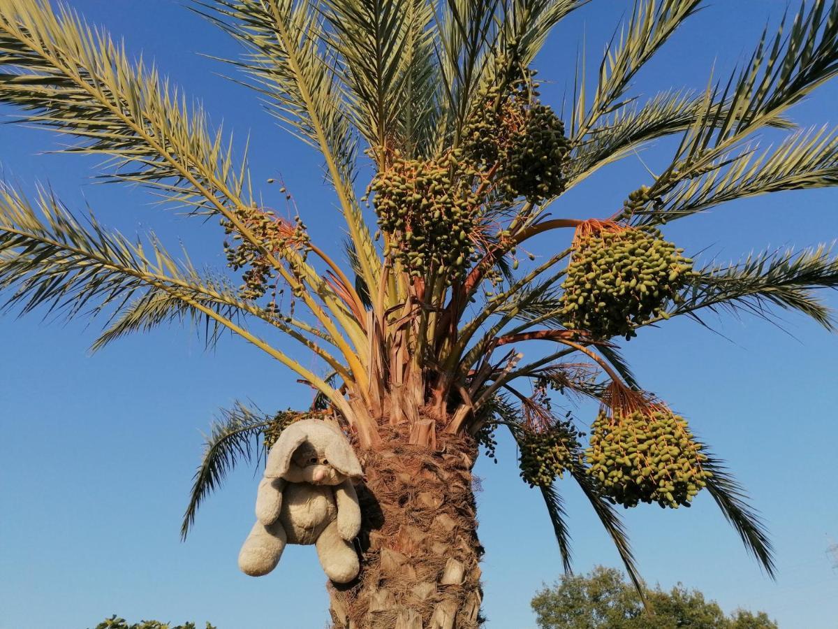 Goudhi Pervolaris Cottages 1 מראה חיצוני תמונה