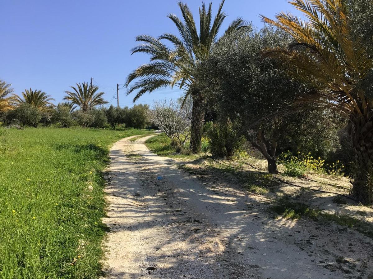 Goudhi Pervolaris Cottages 1 מראה חיצוני תמונה