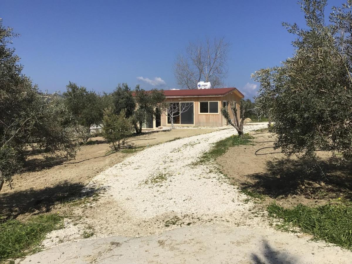 Goudhi Pervolaris Cottages 1 מראה חיצוני תמונה