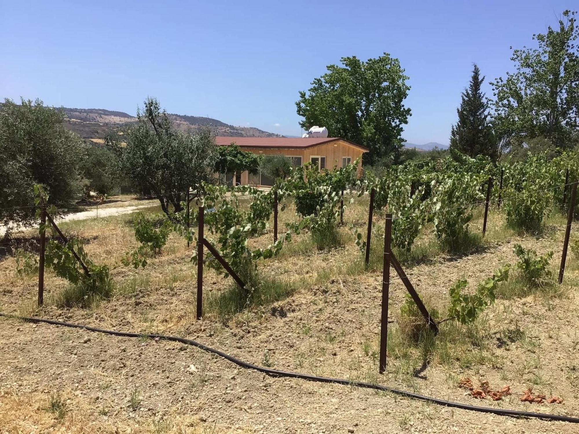 Goudhi Pervolaris Cottages 1 מראה חיצוני תמונה
