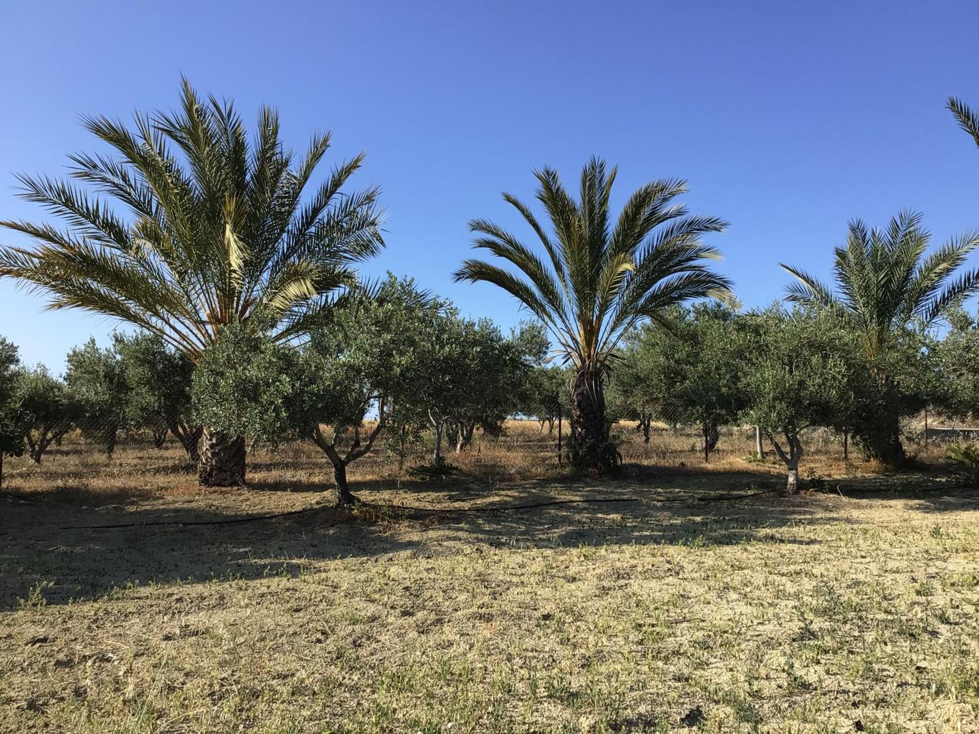 Goudhi Pervolaris Cottages 1 מראה חיצוני תמונה