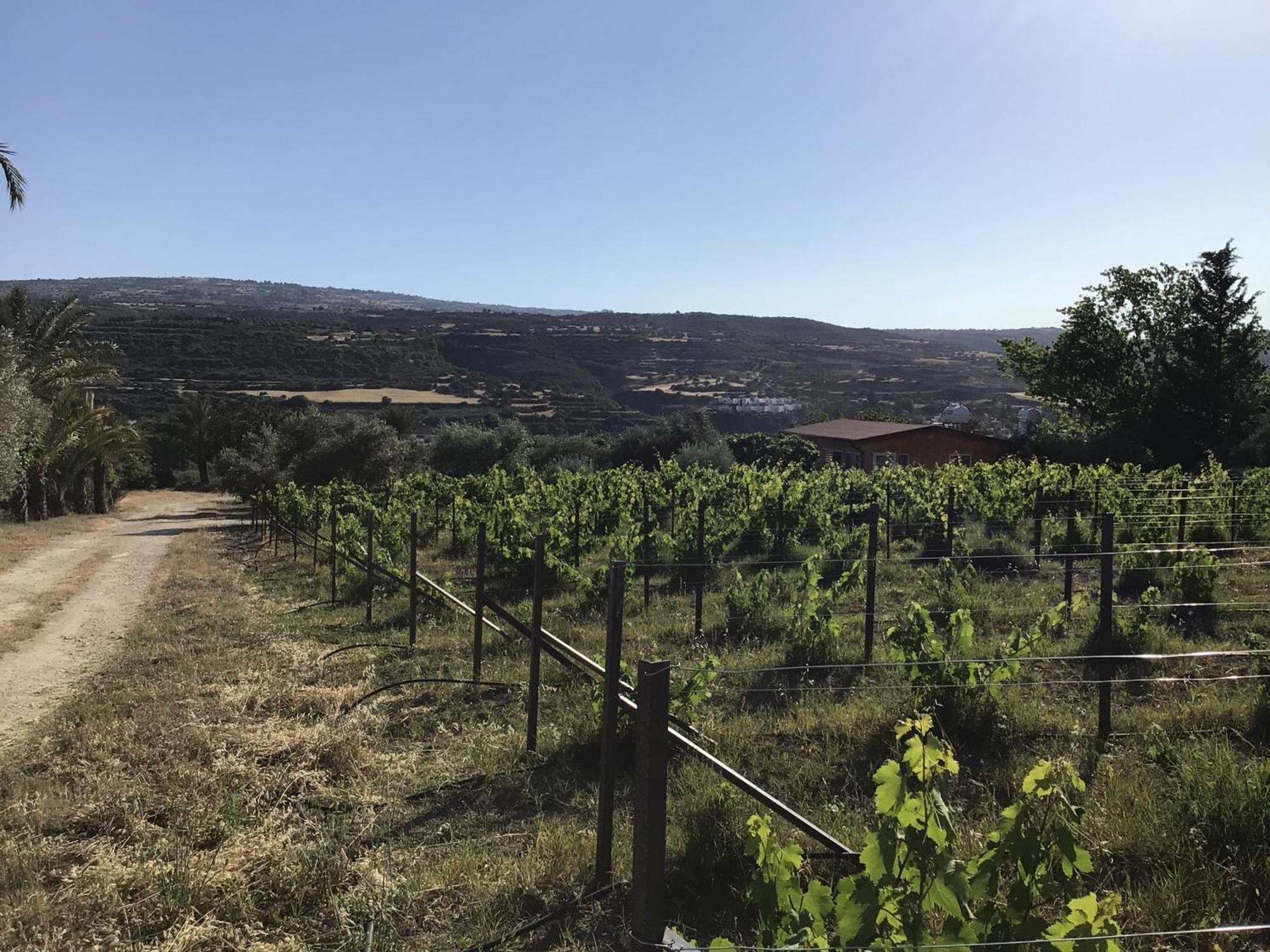 Goudhi Pervolaris Cottages 1 מראה חיצוני תמונה