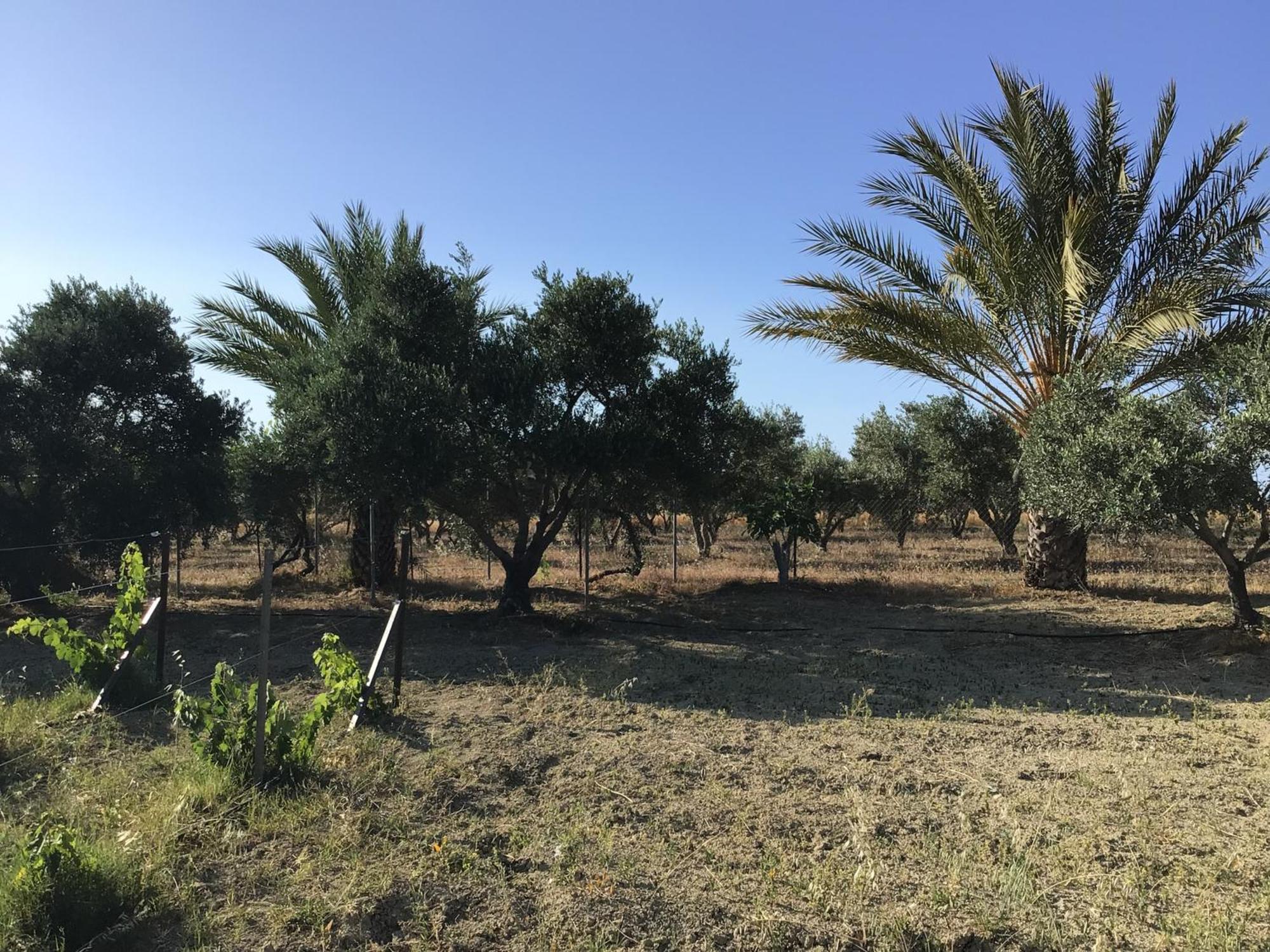 Goudhi Pervolaris Cottages 1 מראה חיצוני תמונה