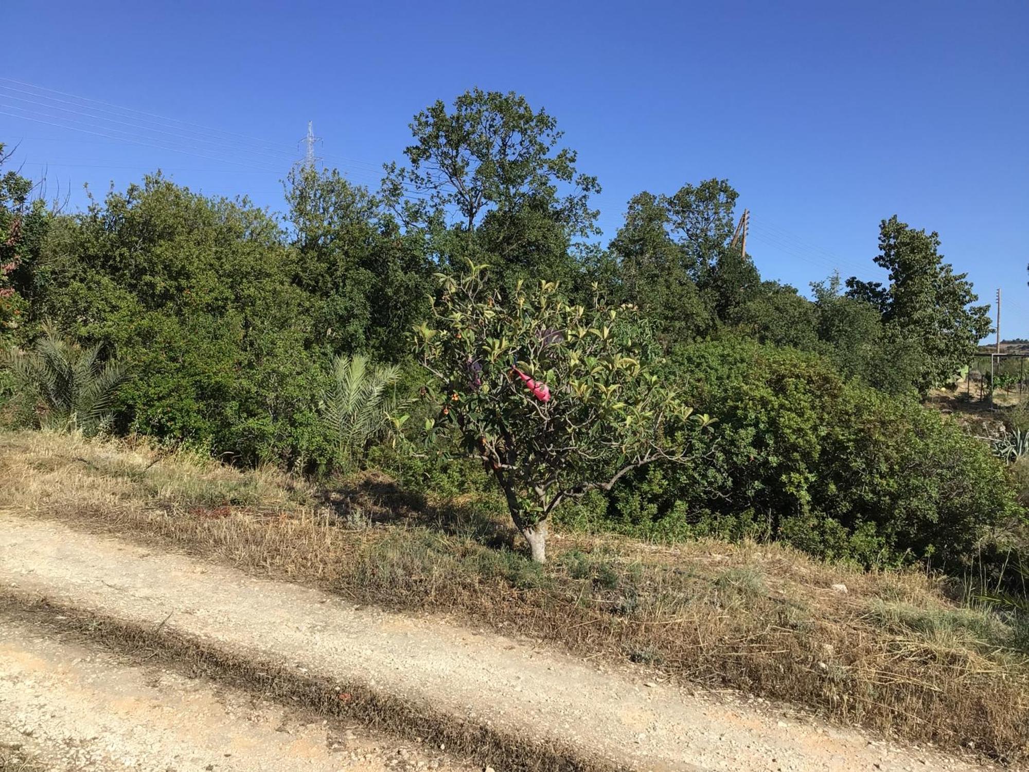 Goudhi Pervolaris Cottages 1 מראה חיצוני תמונה